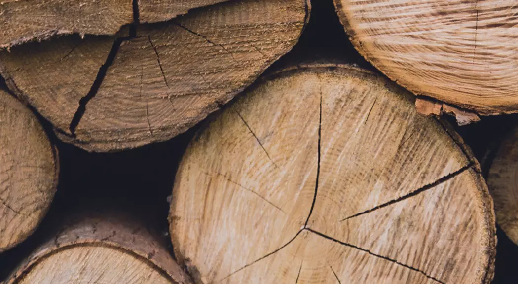 Avviso Asta Focatico