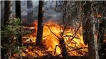 stato massima pericolosità incendi boschivi